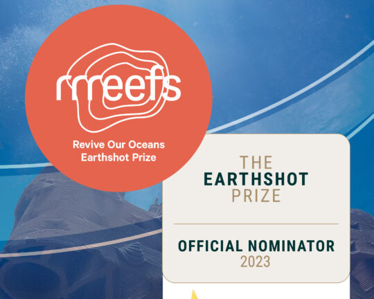 2023.02.06Tekengebied 6