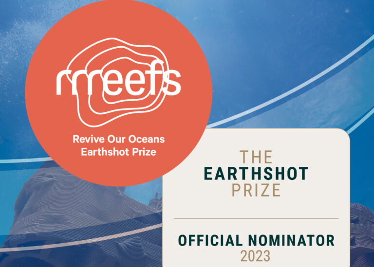 2023.02.06Tekengebied 6