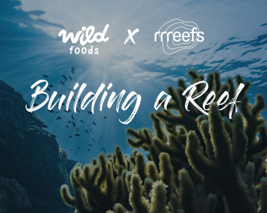 wild foods x rrreefs