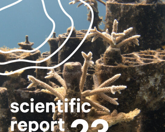 Bildschirmfoto 2024-01-24 um 13.43.54