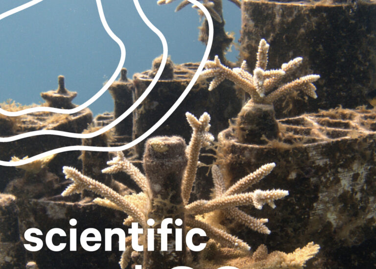 Bildschirmfoto 2024-01-24 um 13.43.54