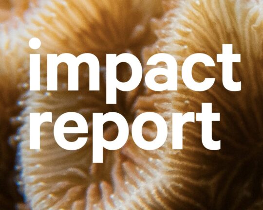 Screenshot 2025-06-09 at 18.05.24