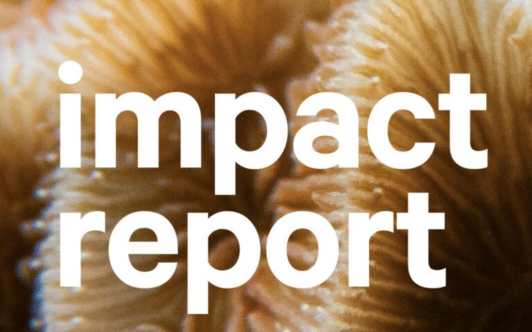 Screenshot 2025-06-09 at 18.05.24