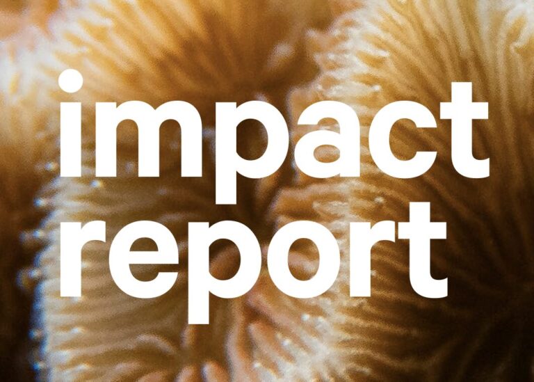 Screenshot 2025-06-09 at 18.05.24