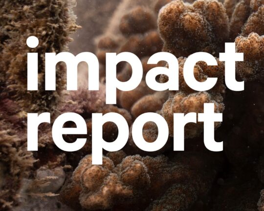 Screenshot 2025-08-06 at 11.31.06