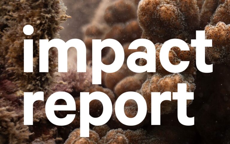 Screenshot 2025-08-06 at 11.31.06