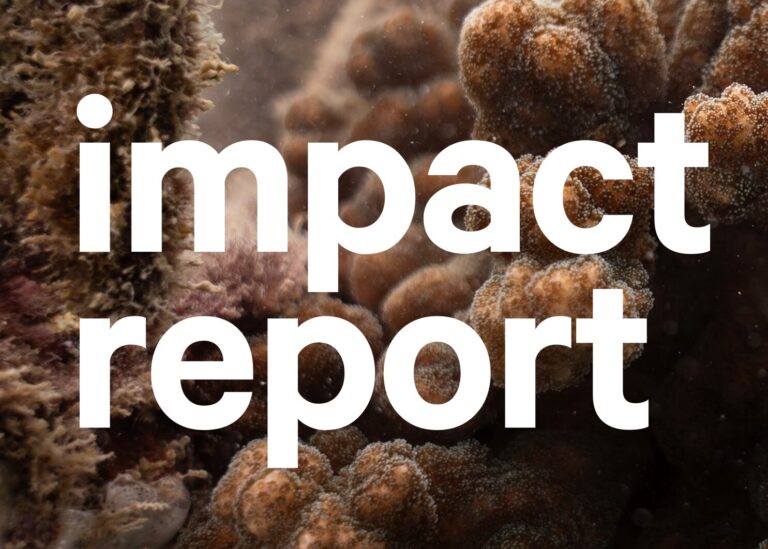 Screenshot 2025-08-06 at 11.31.06