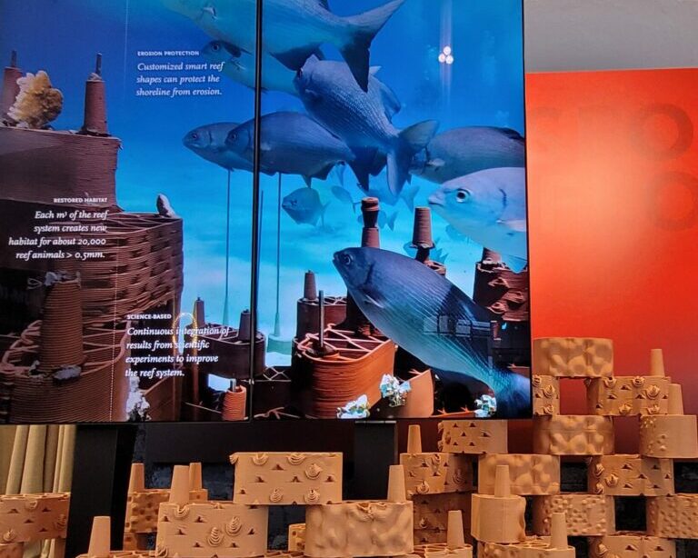 20230503_184557-e1714401467112-768×861