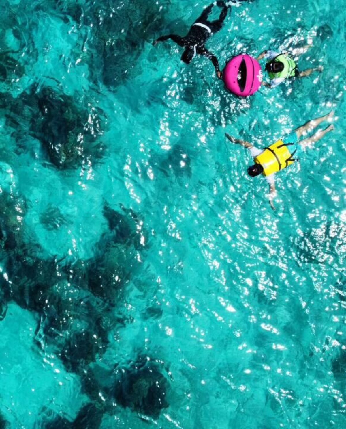 PHOTO-2024-11-18-15-58-27