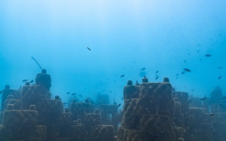 Rrreefs-Dana Bjarner00010