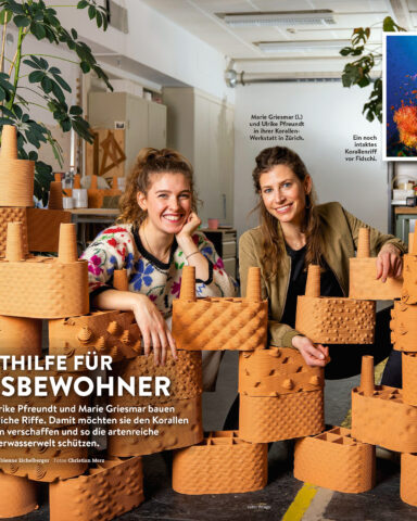 Schweizer_Familie_press_353x400_rrreefs_7