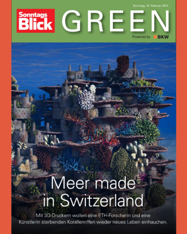 Sonntag_Blick_press_353x400_rrreefs_8