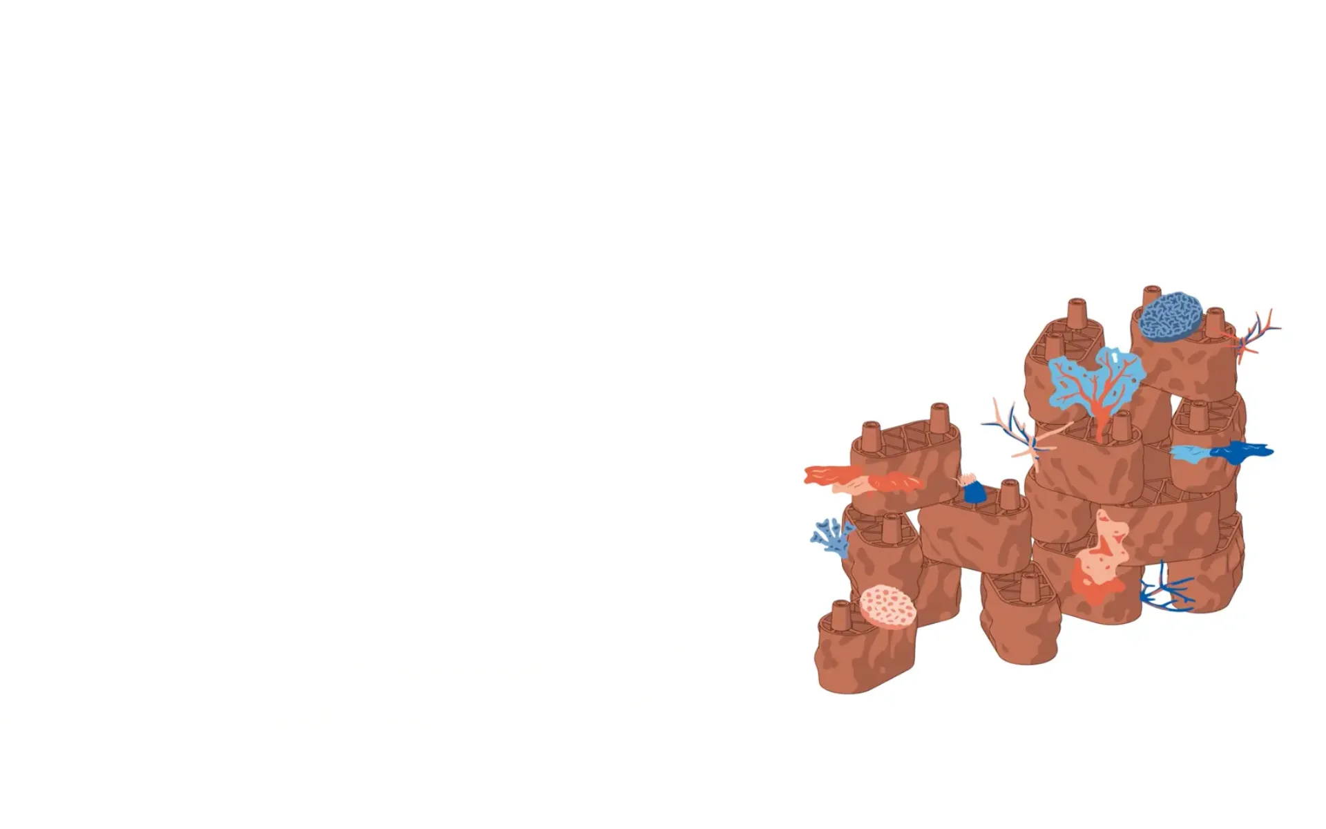 rrreefs-animation-fallback