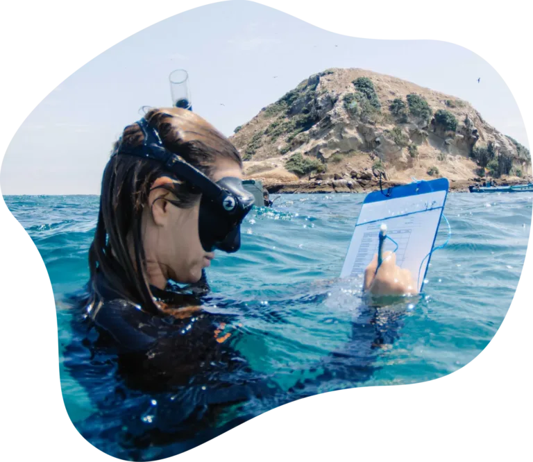 rrreefs-project-Islote-Sucre-Ecuador-Intro