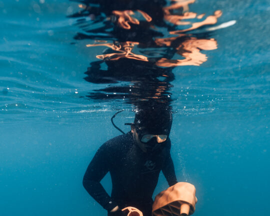 DSC06603_©Dana_Bjarner