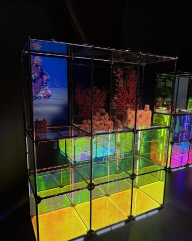 SwissPavilionRrreefsExhibit (6)