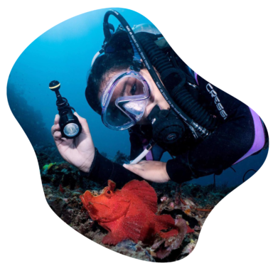 che_picture_rrreefs_2